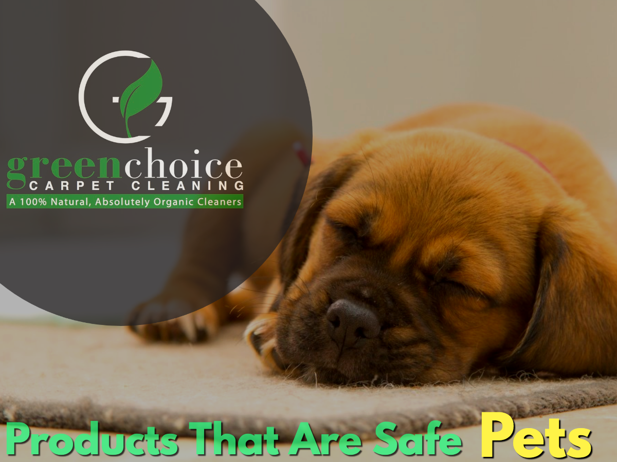 Carpet Cleaning NYC Rug & Carpet & Upholstery Cleaning 20 OFF