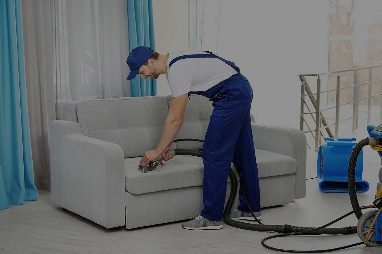 Top Rated Carpet Cleaning In Nyc Same Day Service 20 Off