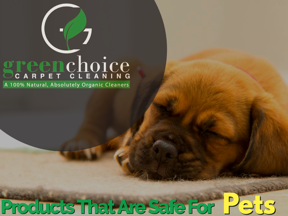 organic carpet cleaning NYC