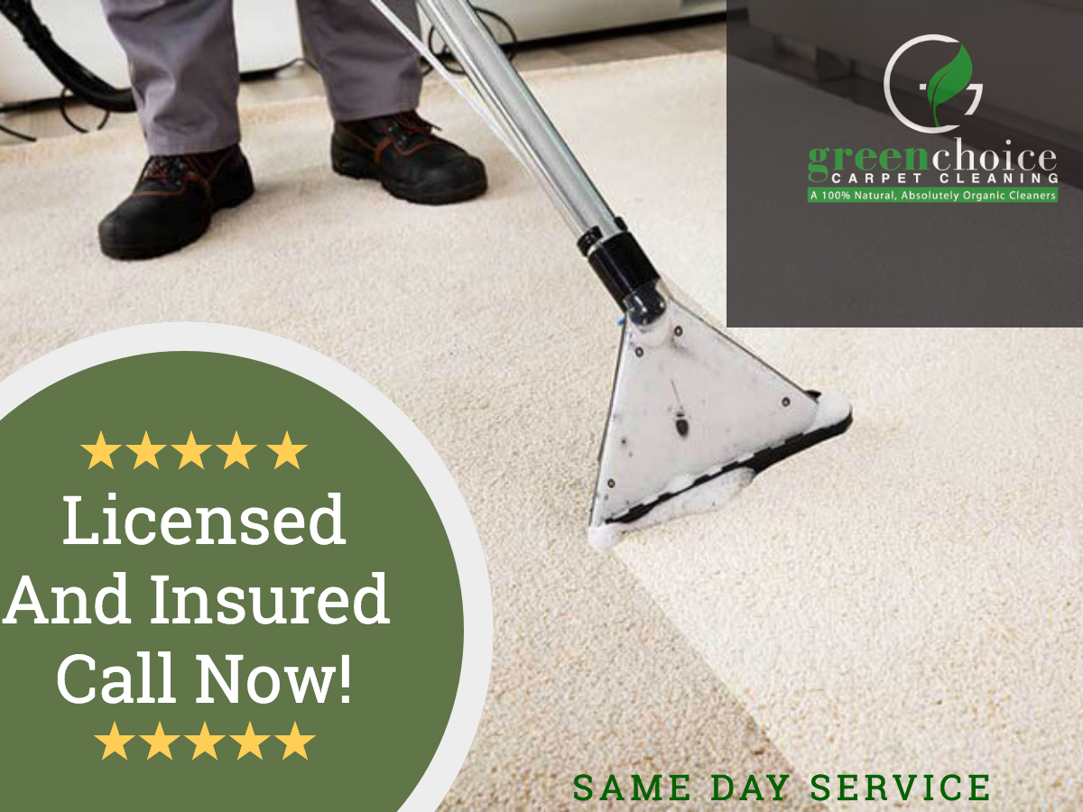 Carpet Cleaning In NYC Same Day Service 20 OFF